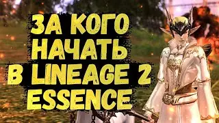 ЗА КОГО НАЧАТЬ ИГРАТЬ В Lineage 2 Essence