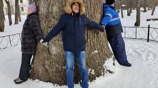 Измерение обхвата дуба в парке около усадьбы Асеевых, Тамбов