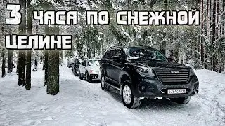 HAVAL H9, TUGELLA 2022, Discovery 4, VOLVO XC70 through a snowy forest.