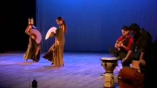 Resumen show de belly dance " Mil Una Noches "