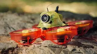 I got the NewBeeDrone HummingBird F4 V3