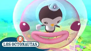 Los Octonautas Oficial En Español - La medusa gigante y los tiburones cortagalletas