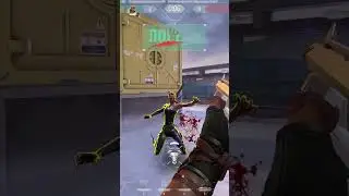 Как видят меня враги Valorant Raze 