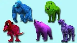 Animals Cartoon Finger Family Song | Finger Nursery Rhymes Collection For Kids