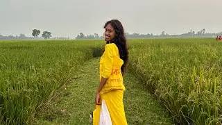 10/29/24 (🇧🇩 Edition)