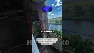 Нашли голубя в новой квартире 😂😂😂