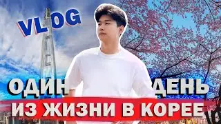 Влог Из Южной Кореи | Lotte World | Цветение Сакуры | Рамён на реке Хан | Пикник | Vlog Korea