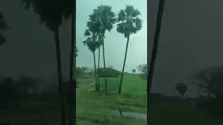 beautiful view