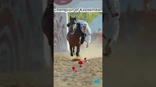 В СТИЛЕ “ҚОС ҚҰЛАШ”/ТЕҢГЕ ІЛҮ #horse #кони #лошади #теңгеілу #казахскиеигры #атбеги #палуан #shorts