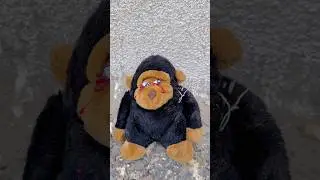 Cute monkey Crying 🥲❤️|