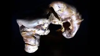 Нечто - Резьба по дереву