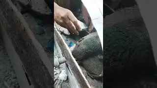 Kerasnya memotong bahan giok birma, nih biar pada tahu susahnya gosok batu giok dari birma