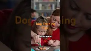 Dog Training Tips #petcare #dogs #dogtraining #dogtrainer #dogtrainingtips