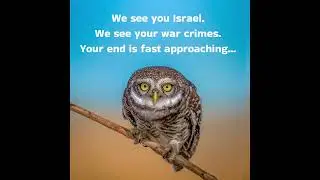 Israel's genocide of Palestinians - the world will NEVER forget.  #gaza #westbank