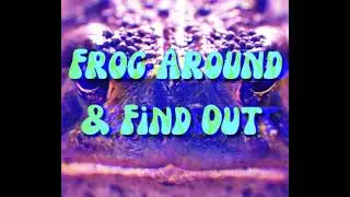 Frog Around & Find Out