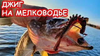 ЩУКА НА МЕЛКОВОДЬЕ. ЛОВЛЯ ЩУКИ НА ДЖИГ. РЫБАЛКА НА СПИННИНГ