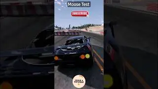 Moose Test BeamNG