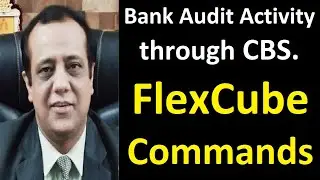 FlexCube Commands for Bank Branch Audit | Bank Audit Activity through CBS - FlexCube Commands