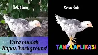 Hapus background mudah tanpa aplikasi