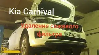 Удаление сажевого фильтра Kia Carnival 2016 года