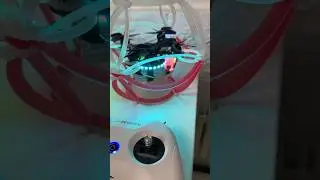 Самый крепкий дрон для обучения Flytrox ДС 200 Про 