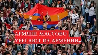 АРМЯНЕ МАССОВО УБЕГАЮТ ИЗ АРМЕНИИ.