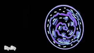 The Portal
