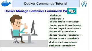 Docker Commands Tutorial P4 | Docker Manage Container Commands | Docker commands tips and tricks
