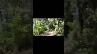 11 year old Mississippi boy shot in chest by cops 👮‍♂️ 👮‍♂️👮‍♂️