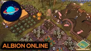PARLIAMO DI MMORPG || Albion Online || LIVE ITA