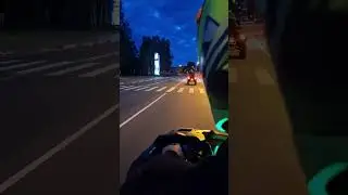 Два гепарда 💚🖤💪 