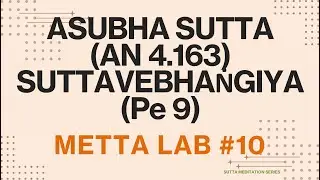 Metta Lab (weekly slow session) @SuttaMeditationSeries - 6 July 2024