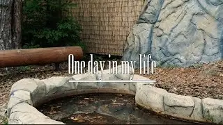 ☆⋆｡𖦹°‧★ one day in my life [cycling] тг: Я хочу прогуляться по Японии