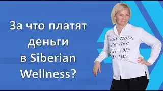 За что платят деньги в Siberian Wellness? Разбираем маркетинг -план