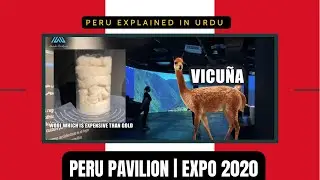 PERU 🇵🇪 PAVILION EXPLAINED | EXPO 2020 DUBAI