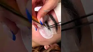 Wet Lash Styles Customers Love❤️🎉