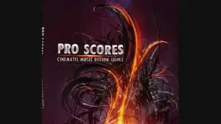 Pro scores rising energy of a warrior.wmv