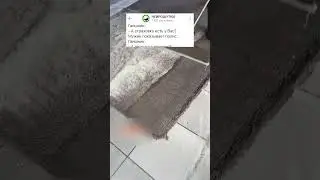 ДАЖЕ С БАБКОЙ НЕ ПРОКАТИЛО🤣 