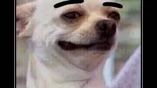 Monday Meme & GIF