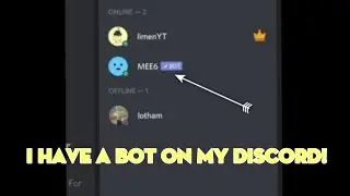 I HAVE A BOT ON MY DISCORD!