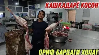 КАШКАДАРЁ КОСОН ОРИФ БАРДАГИ КИЗИКАРЛИ ХОЛАТ