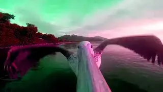 OUTWARD ALIEN - Saddle Up [music video]