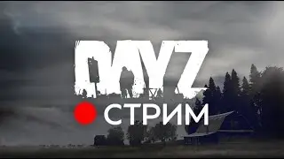 Стрим по DayZ  в Steam