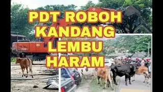 Kandang haram kena roboh. Apa kata Netizen #kandangharam #lembu #kambing #tanahharam