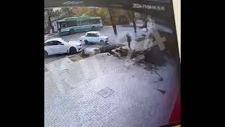 В Майкопе дерево чуть не убило прохожего.