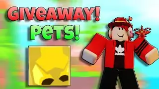 Chest simulator - Giveaway pets
