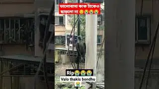 Effect of love (RIP😭) 😭😭😭 