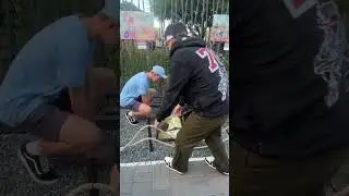 Братья установили звезду в Омске на алее звездных пожеланий для будущих поколений ⭐️