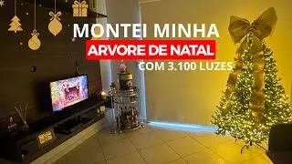 I decorated my Christmas tree with 3,100 twinkling lights #christmas #christmasdecorations #chris...