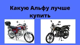 Какую Альфу лучше купить?